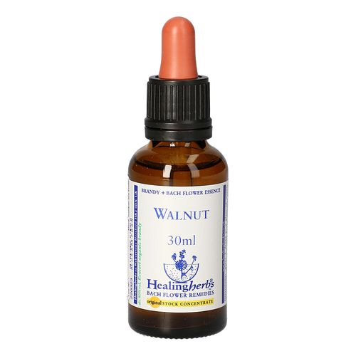 BACHBLUETEN Walnut Healing Herbs, 30 ml, Leitner Lifecare GmbH BACHBLUETEN Walnut Healing Herbs, 30 ml, Leitner Lifecare GmbH