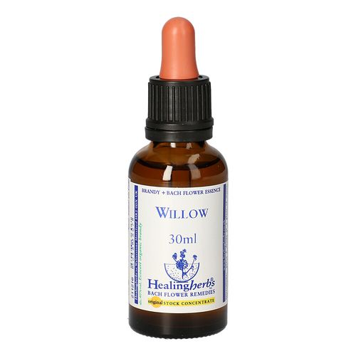 BACHBLUETEN Willow Healing Herbs, 30 ml, Leitner Lifecare GmbH BACHBLUETEN Willow Healing Herbs, 30 ml, Leitner Lifecare GmbH