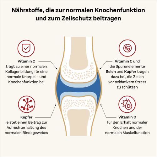 Doppelherz Kollagen 11000 Plus system, 30x25 ml, Queisser Pharma GmbH & Co. KG