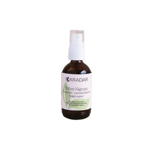 Gemmomazerat Schw. Johannisbeere - Ribes Nigrum Bio 50 ml, 50 ml, Central-Apotheke
