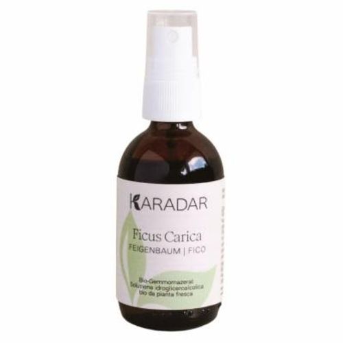 Gemmomazerat Feigenbaum - Ficus Carica Spray, 50 ml, KARADAR