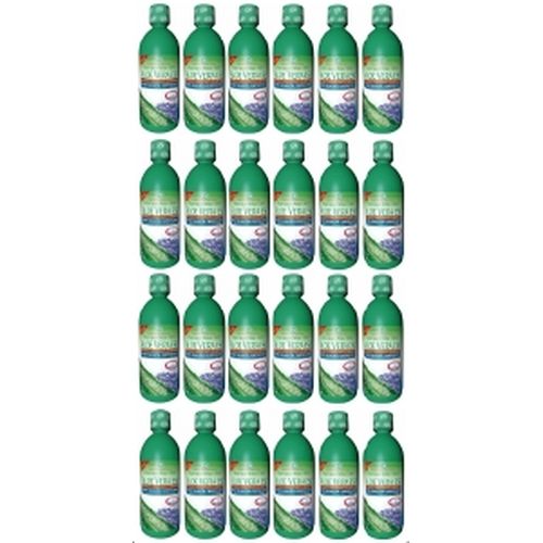 Aloe Vera Saft mit Heidelbeer Saft, 24x1 l, Groß GmbH