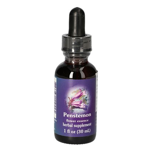 Penstemon FES kalifornische Blütenessenz, 30 ml, Leitner Lifecare GmbH
