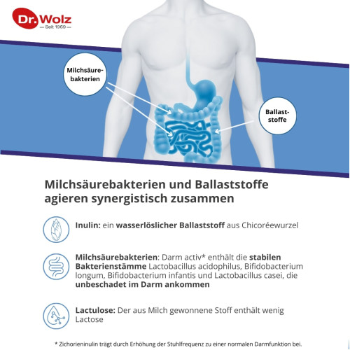 Darm activ Dr. Wolz, 400 g, Dr. Wolz Zell GmbH