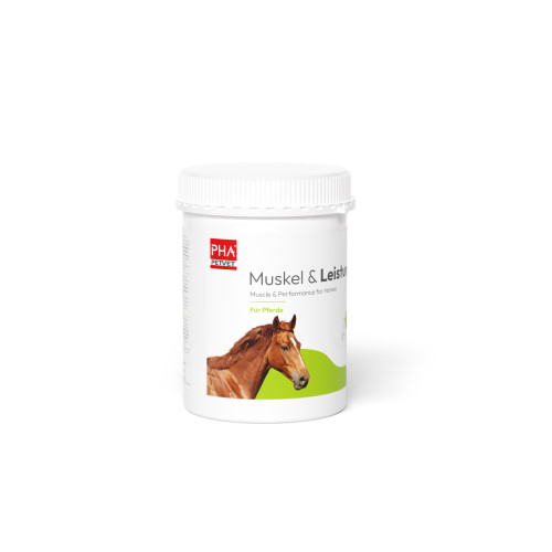 PHA Muskel & Leistung für Pferde, 850 g, PetVet GmbH