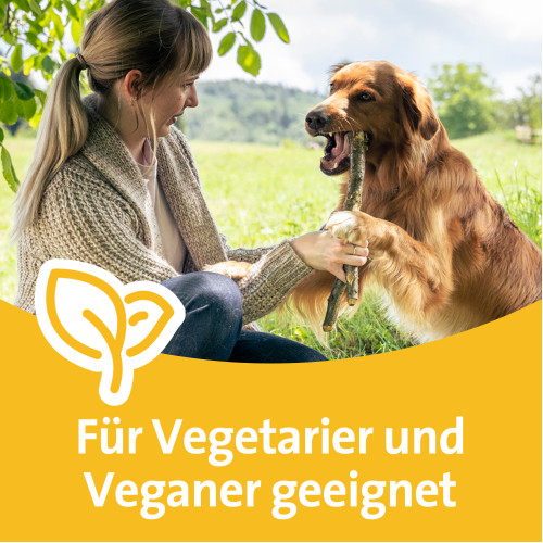 Grippostad C Stickpack, 12 Stk., STADA Consumer Health Deutschland GmbH