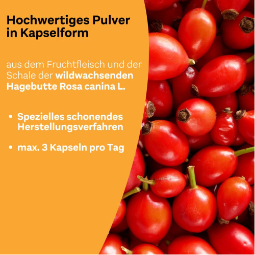 Litozin Ultra Kapseln, 120 Stk., Queisser Pharma GmbH & Co. KG