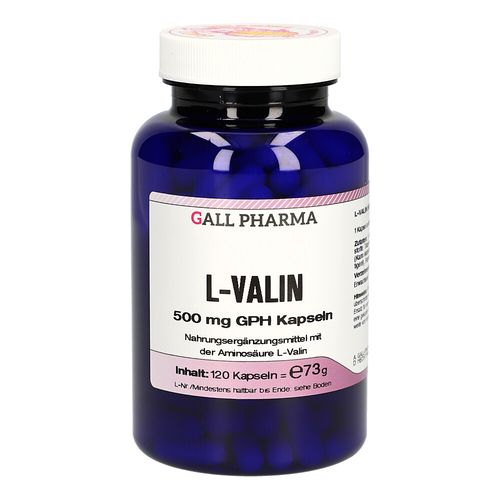 L-Valin 500 mg GPH Kapseln, 120 Stk., Hecht-Pharma GmbH