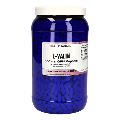 L-Valin 500 mg GPH Kapseln, 750 Stk., Hecht-Pharma GmbH