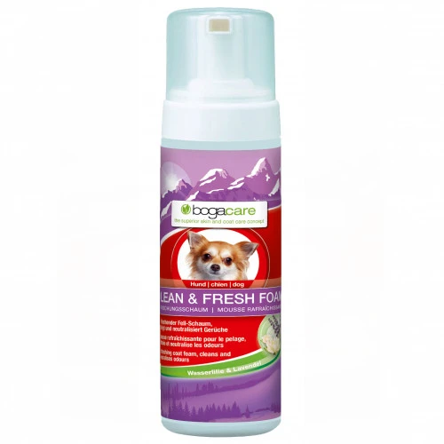 bogacare CLEAN & FRESH FOAM Hund, 150 ml, Werner Schmidt Pharma GmbH