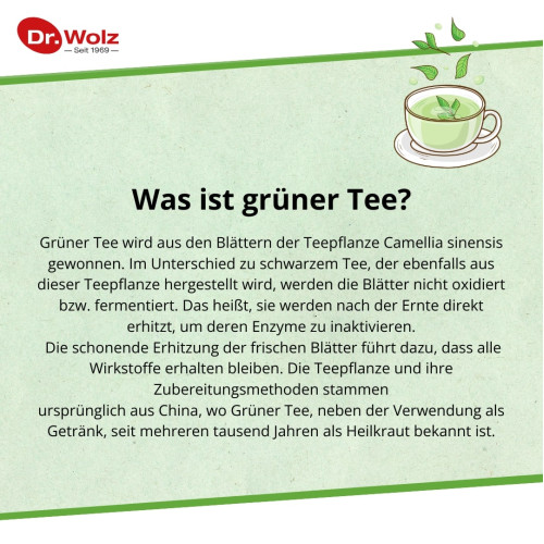 Grüntee-Extrakt Dr. Wolz, 120 Stk., Dr. Wolz Zell GmbH
