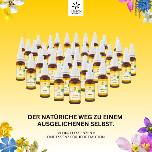 BACHBLUETE 15 HOLLY BIO, 20 ml, Hager Pharma GmbH