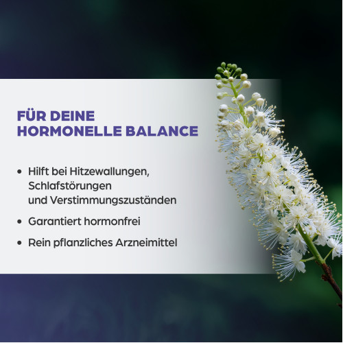 Dr. B&ouml;hm Traubensilberkerze 6.5mg Filmtabletten, 60 Stk., Apomedica Pharmazeutische Produkte GmbH