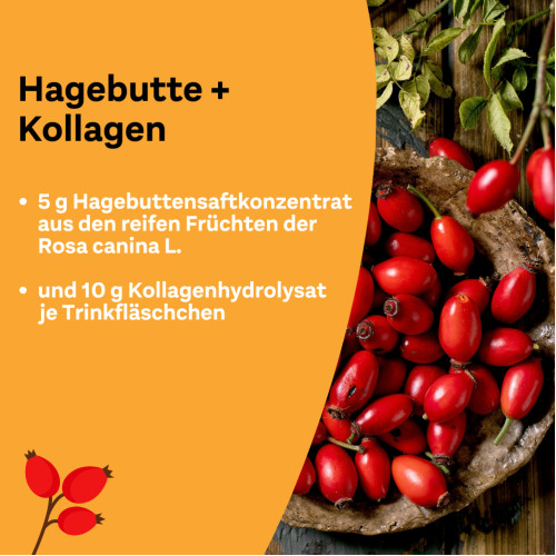 Litozin Hagebutte+Kollagen, 30x25 ml, Queisser Pharma GmbH & Co. KG