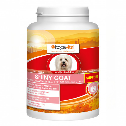 BOGAVITAL SHINY COAT SUPPORT Tabs Hund, 120 St, Werner Schmidt Pharma GmbH