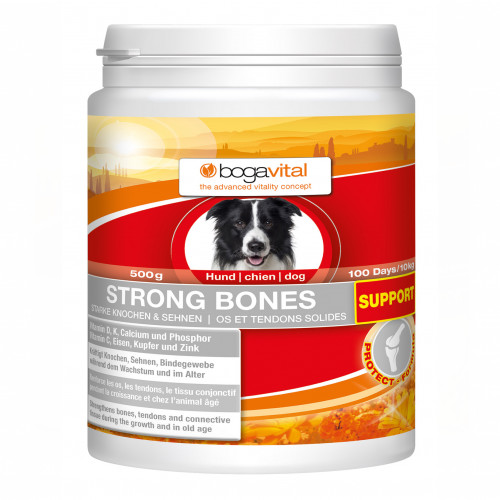 BOGAVITAL STRONG BONES SUPPORT Pulver f.Hunde, 500 g, Werner Schmidt Pharma GmbH