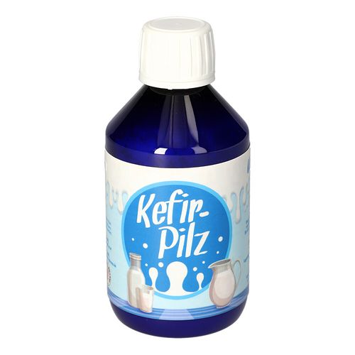 KEFIR PILZ MILCH, 1 Stk., Hecht-Pharma GmbH