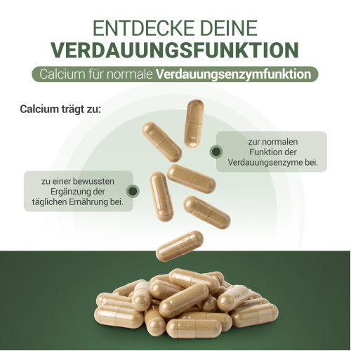 PADMA DigesTib, 60 Stk., Hager Pharma GmbH