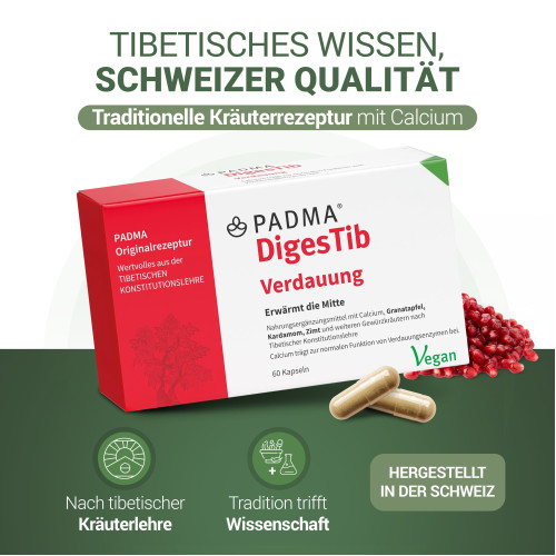 PADMA DigesTib, 60 Stk., Hager Pharma GmbH