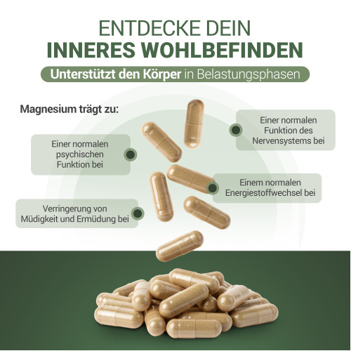 PADMA NervoTib, 60 Stk., Hager Pharma GmbH