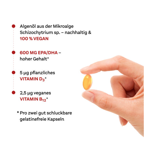 Doppelherz Omega-3 Pflanzlich system, 60 Stk., Queisser Pharma GmbH & Co. KG