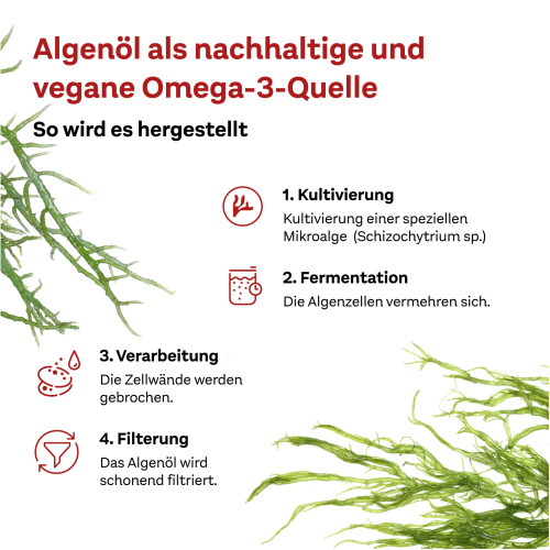 Doppelherz Omega-3 Pflanzlich system, 60 Stk., Queisser Pharma GmbH & Co. KG