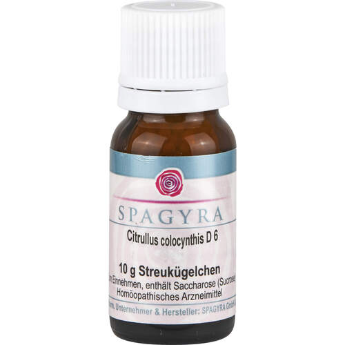 Citrullus colocynthis D6, 10 g, Spagyra GmbH & Co. KG