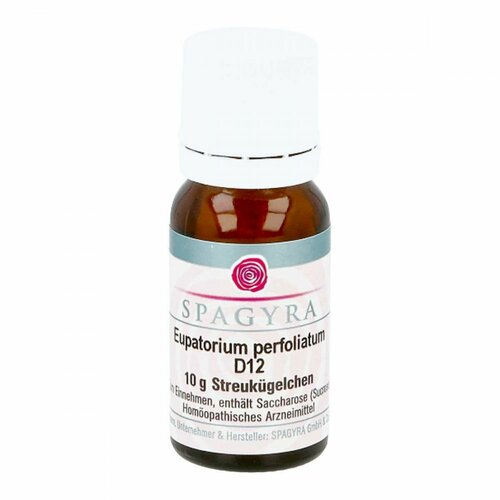Eupatorium perfoliatum D12, 10 g, Spagyra GmbH & Co. KG