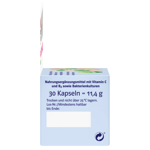 Doppelherz Pro Lacto Balance system, 30 Stk., Queisser Pharma GmbH & Co. KG