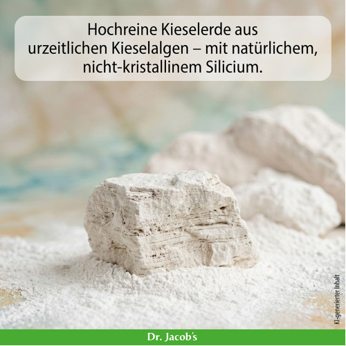 Dr. Jacob's DarmHIT Kieselerde Weihrauch Quercetin Kurkuma, 210 g, Dr. Jacob's Medical GmbH