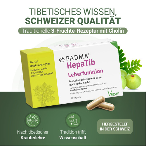 PADMA HepaTib Kapseln, 60 Stk., Hager Pharma GmbH