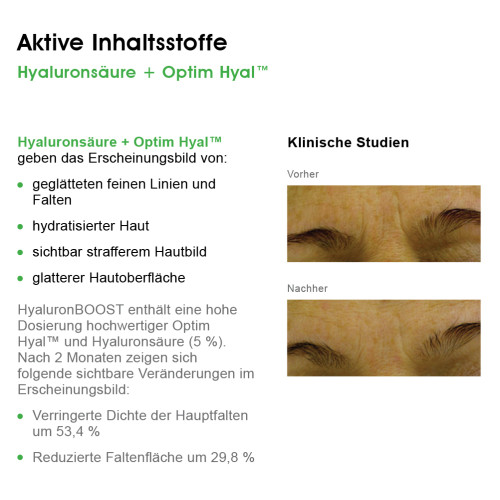 BIOMED Vergiss dein Alter Kopf Hoch, 40 ml, Herba Anima GmbH