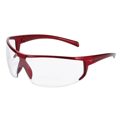 Schutzbrille Anti-Beschlag(+) Anti-Kratz(+) UV400, 1 Stk., Megadent Deflogrip Gerhard Reeg GmbH