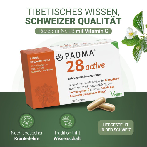 PADMA 28 ACTIVE, 100 Stk., Hager Pharma GmbH