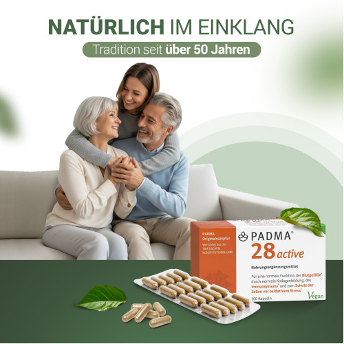 PADMA 28 ACTIVE, 100 Stk., Hager Pharma GmbH