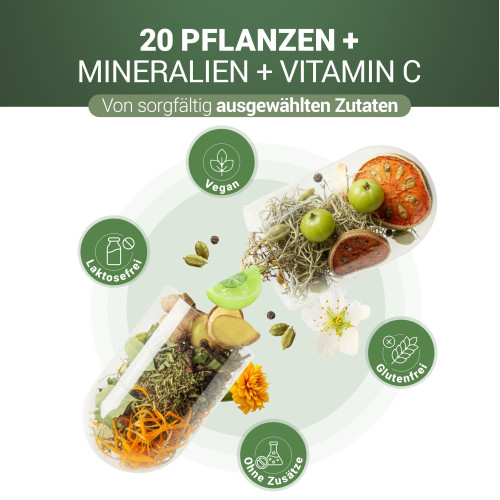 PADMA 28 ACTIVE, 200 Stk., Hager Pharma GmbH