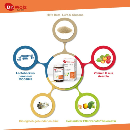 Immun select Dr. Wolz, 120 Stk., Dr. Wolz Zell GmbH