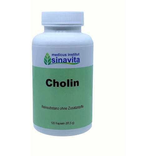 Cholin, 120 Stk., medicus sinavita GmbH