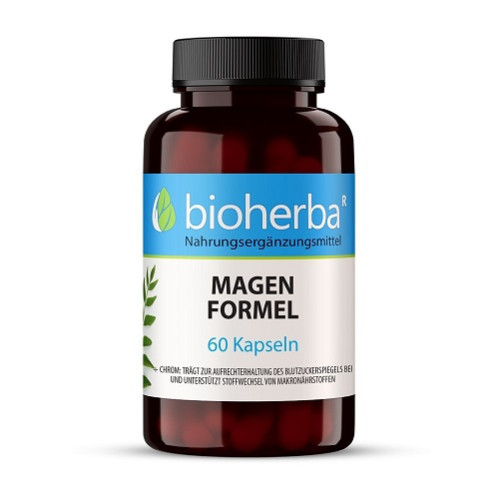 Magen Formel, 60 Stk., Bioherba Reichenbach GmbH