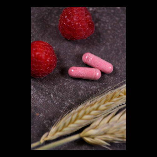 CranDophilus Solaray, 120 Stk., Supplementa GmbH