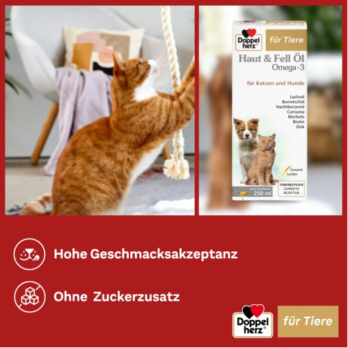 Doppelherz f&uuml;r Tiere Haut&Fell &Ouml;l f&uuml;r Katzen+Hunde, 250 ml, Queisser Pharma GmbH & Co. KG