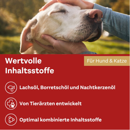 Doppelherz f&uuml;r Tiere Haut&Fell &Ouml;l f&uuml;r Katzen+Hunde, 250 ml, Queisser Pharma GmbH & Co. KG