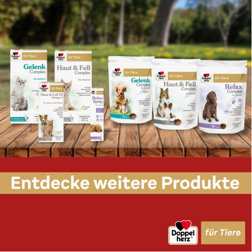 Doppelherz f&uuml;r Tiere Haut&Fell &Ouml;l f&uuml;r Katzen+Hunde, 250 ml, Queisser Pharma GmbH & Co. KG