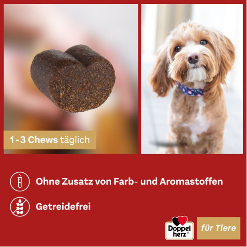Doppelherz f&uuml;r Tiere Haut&Fell Complex f&uuml;r Hunde, 30 Stk., Queisser Pharma GmbH & Co. KG