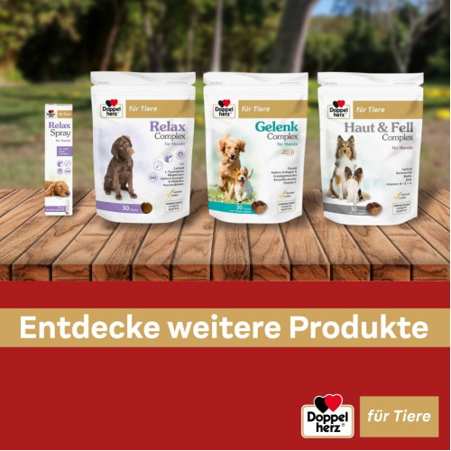 Doppelherz f&uuml;r Tiere Haut&Fell Complex f&uuml;r Hunde, 60 Stk., Queisser Pharma GmbH & Co. KG