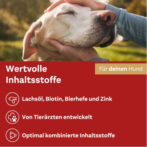 Doppelherz f&uuml;r Tiere Haut&Fell Complex f&uuml;r Hunde, 60 Stk., Queisser Pharma GmbH & Co. KG