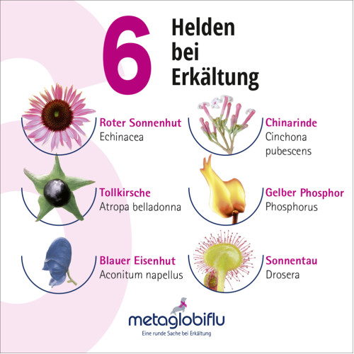 metaglobiflu Erkältungsglobuli, 10 g, Meta Fackler Arzneimittel GmbH