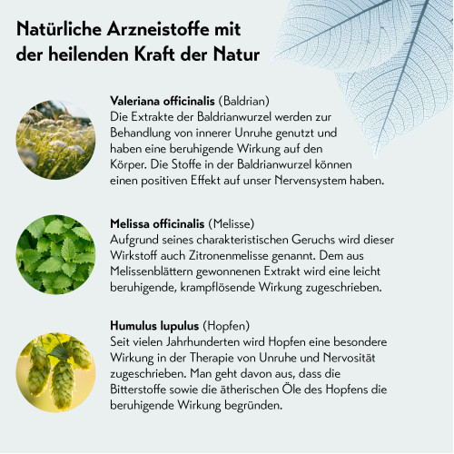 Baldriparan Zur Beruhigung, 30 Stk., PharmaSGP GmbH