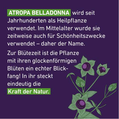 Belladonna D6 Globuli Pfl&uuml;ger Globulispender, 10 g, Hom&ouml;opathisches Laboratorium Alexander Pfl&uuml;ger GmbH & Co. KG