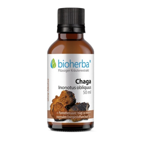 CHAGA Inonotus obliquus, 50 ml, Bioherba Reichenbach GmbH